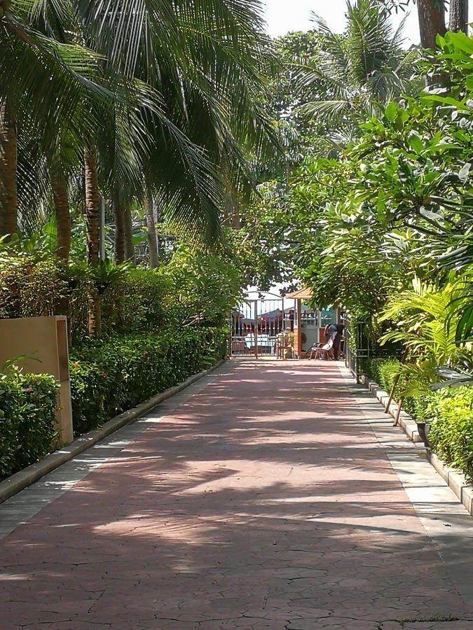 View Talay 5c Appartement Pattaya